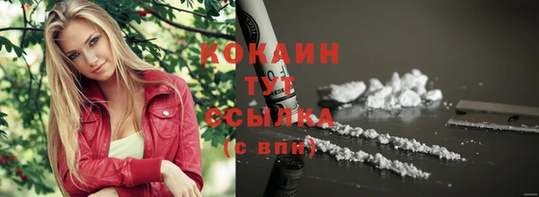 mdpv Козловка