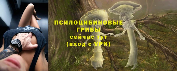 mdpv Козловка